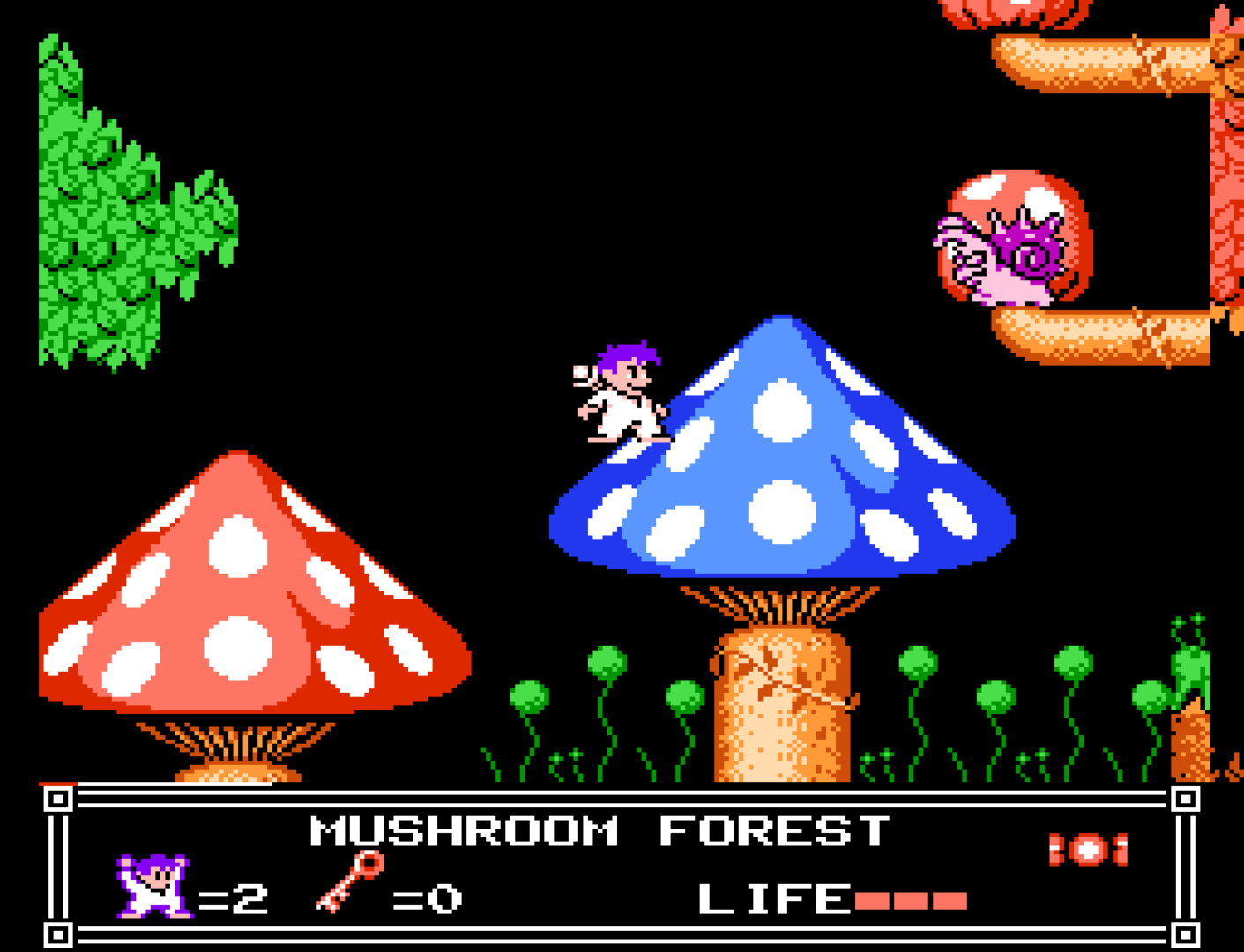 Little Nemo (NES)